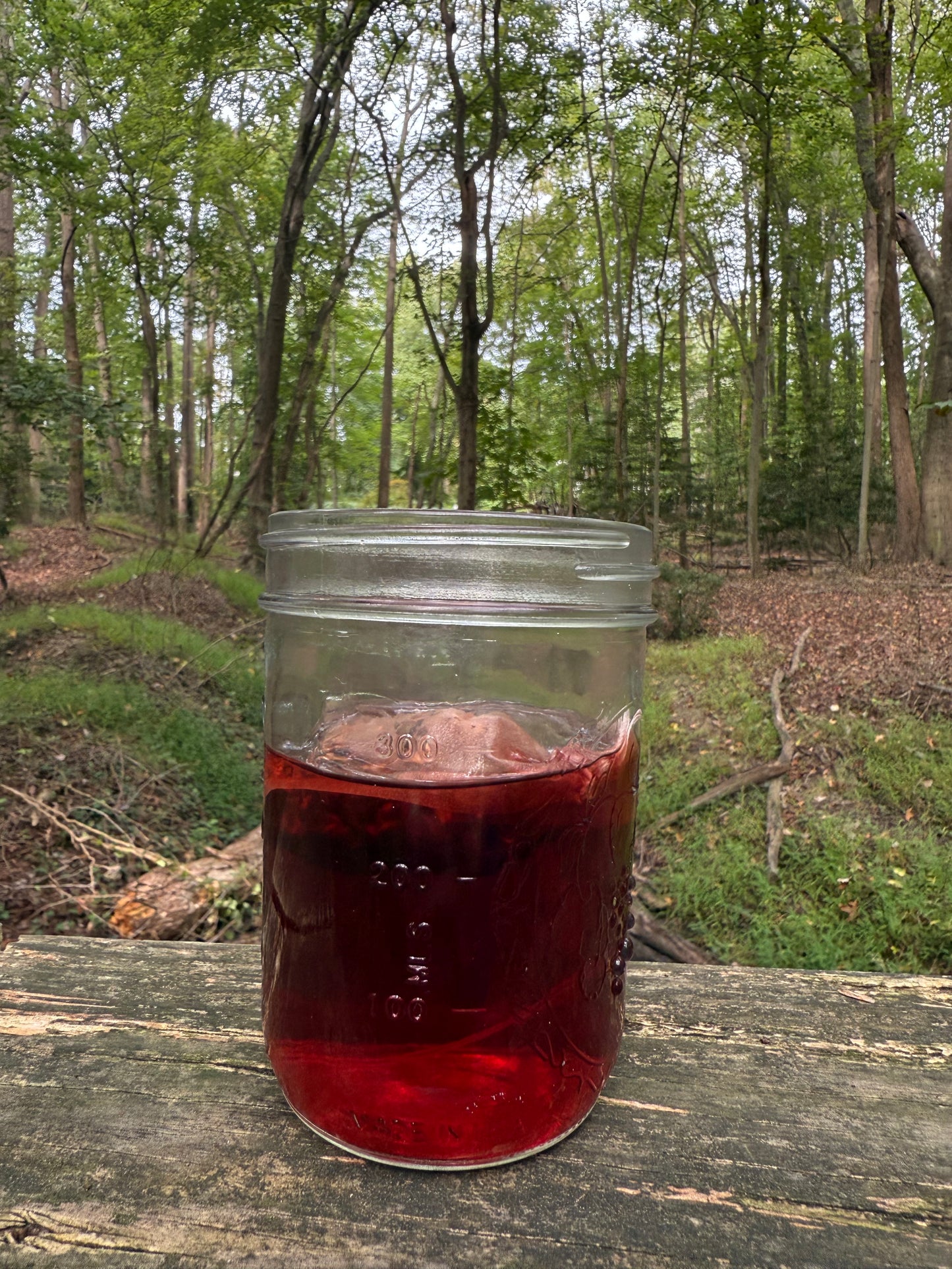 Hibiscus Tea